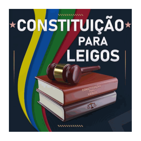Constituição para Leigos